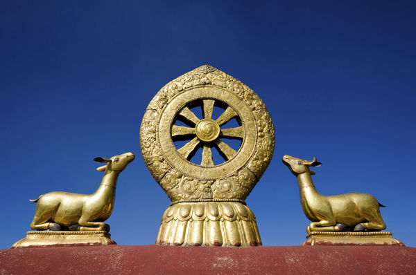 Buddhismens grunder – läromedel i religion åk 4–6